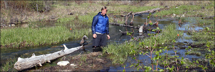 photo of young man standing in small flowing stream in wetland