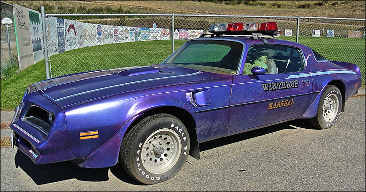 photo of purple police car with dummy inside