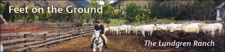 feet on the ground - the lundgren ranch, photo of woman on horse herding cows