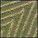 photo of hay field